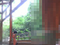 真性家畜ケイコ【衆人環視と家畜小屋】家畜コレクター36 サンプル画像0015