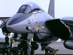 F-14 TOMCAT SPECIAL From WINGS2000