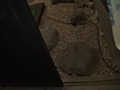 sodcreate_2685_0072