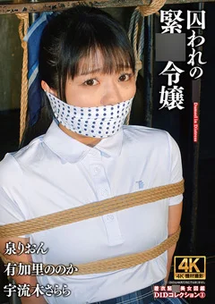 囚われの緊●令嬢 DIDコレクション3