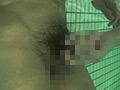 男達の妄想〜卑猥な水泳教室〜プールで水中SEX！！のサンプル画像5
