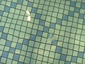 男達の妄想〜卑猥な水泳教室〜プールで水中SEX！！のサンプル画像9