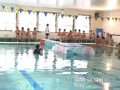 [acceed-0322] 男だらけの水泳大会！ 第三競技＆シャワールームでSEX！のキャプチャ画像 1