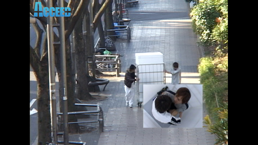 ProjectA～スケルトンダンボール～ 画像3