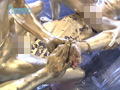 the Mania 塚本鷹生と理一が金色に染まり、掘り合いSEX