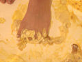 人気女優 泉りおんチャンの足裏でクラッシュフェチ作品 サンプル画像4