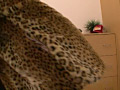 画像0064