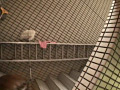 画像0091