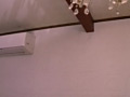 画像0082