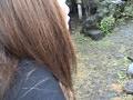 画像0121
