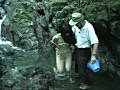画像0061