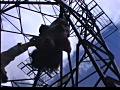 画像0060