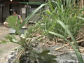 画像0015