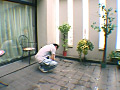 画像0048