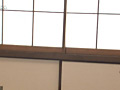 Digest Image 19
