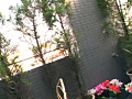 画像0114