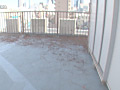 画像0039