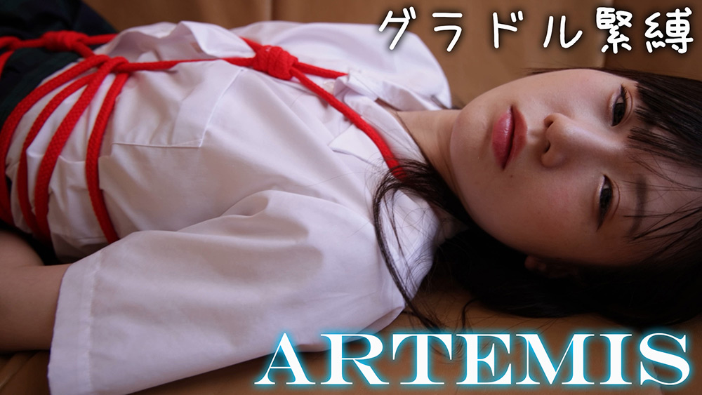 [artemis-0027] 囚われてしまったグラビアアイドル 3 姫崎あむのジャケット画像