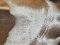 [ashikusa-0053] 【足のにおい】バーテンダー・雑巾昆布のキャプチャ画像 2