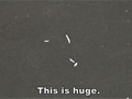 [ashikusa-0081] 【足のにおい】衝撃の巨大足クソのキャプチャ画像 10