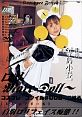 DDO-005 ロリMareDoll 寺島小春