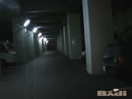 DISC BADI 2008 SUMMERシリーズの作品サムネイル