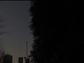 画像0186