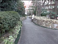 画像0091