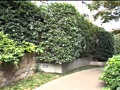 画像0097
