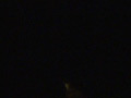 画像0099