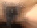 画像0088