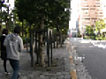 画像0050