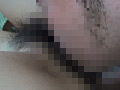 画像0101