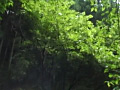 画像0092