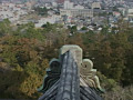 画像0139
