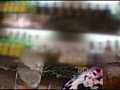 画像0059
