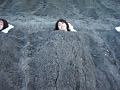 画像0094