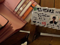 Digest Image 24