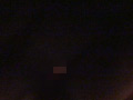 画像0161