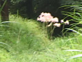画像0150