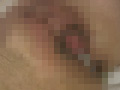 画像0164
