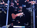 トロピカルフィッシュ 熱帯魚 美しきアクアリウムのサンプル画像5