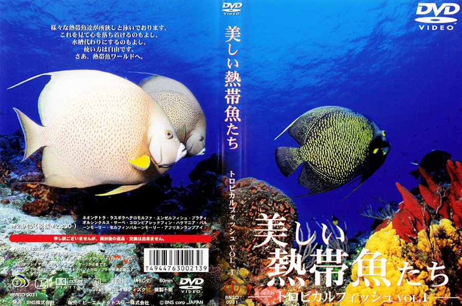 トロピカルフィッシュ VOL.1 美しい熱帯魚たち