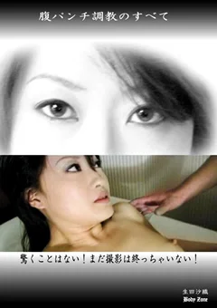 腹パンチ調教のすべて
