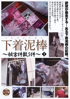 下着泥棒～被害件数5件～1
