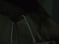 画像0178
