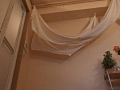 画像0146