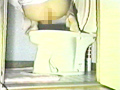 京子のおトイレ日記のサンプル画像1