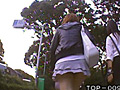 東京パンチラ娘09のサンプル画像15