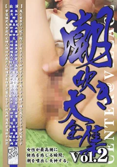 潮吹き大全集 Vol.2